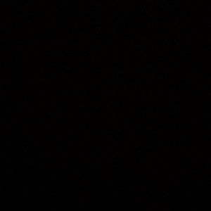 Meet your Posher, Rodrigo